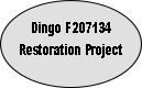Dingo F207134
Restoration Project